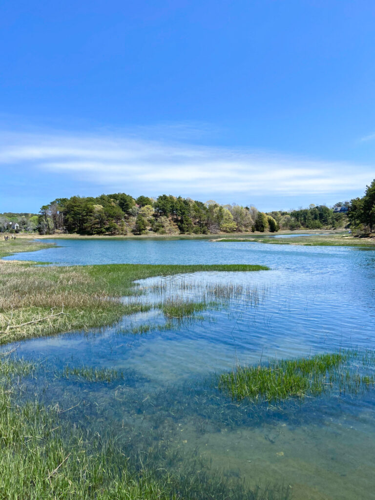 The Best Cape Cod Nature Walks - Endless Discoveries