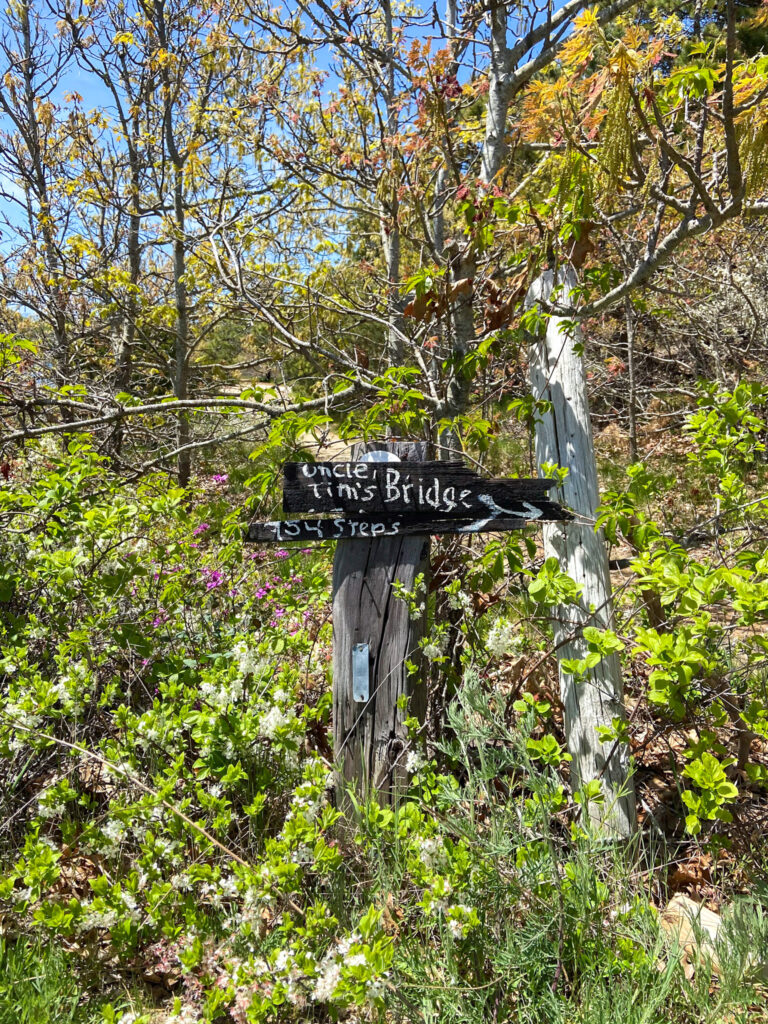 The Best Cape Cod Nature Walks - Endless Discoveries