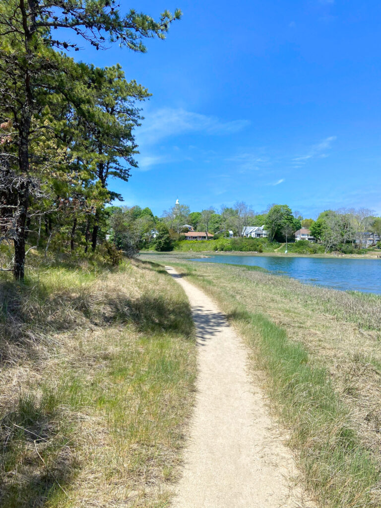 The Best Cape Cod Nature Walks - Endless Discoveries